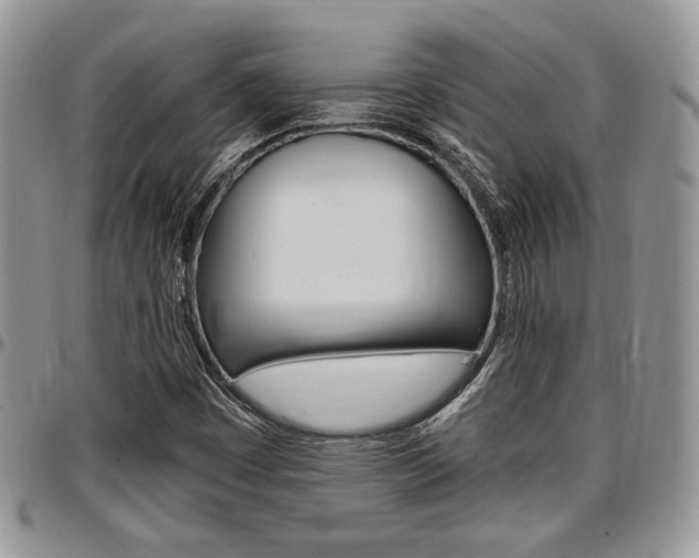X0000096961449200802080849
