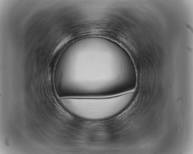 X0000096961450200802080849