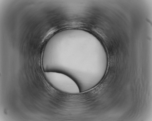 X0000096961451200802080849