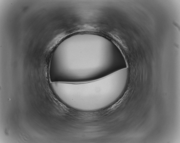 X0000096961455200802080849