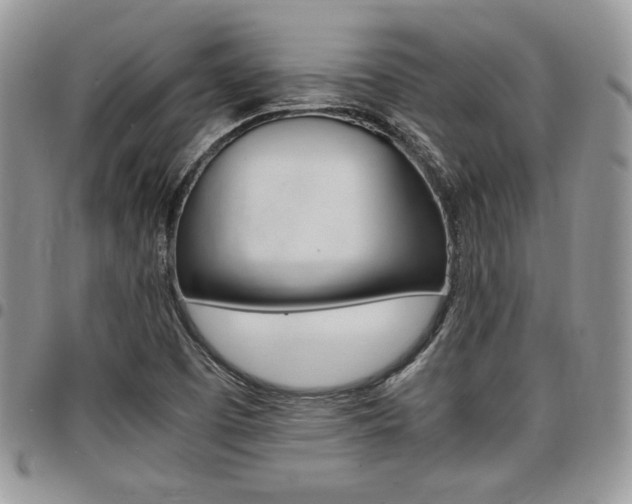 X0000096961457200802080849
