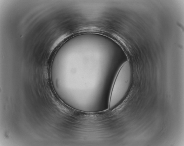 X0000096961458200802080848