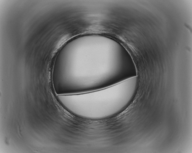 X0000096961459200802080848