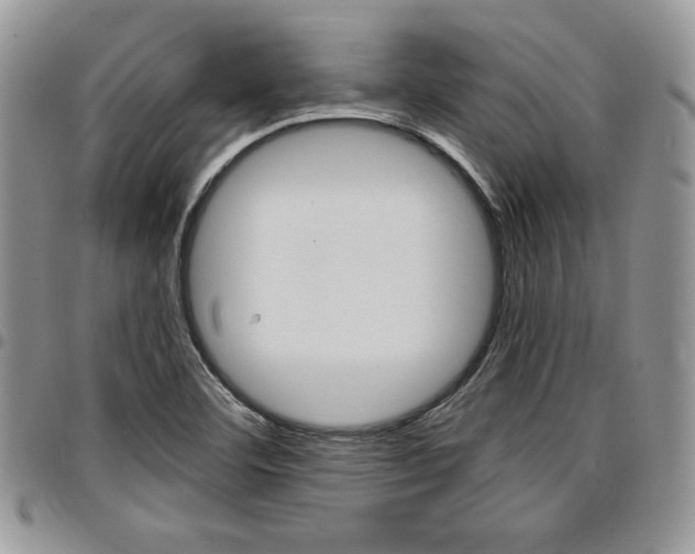 X0000096961460200802080848