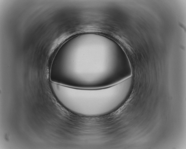 X0000096961461200802080848