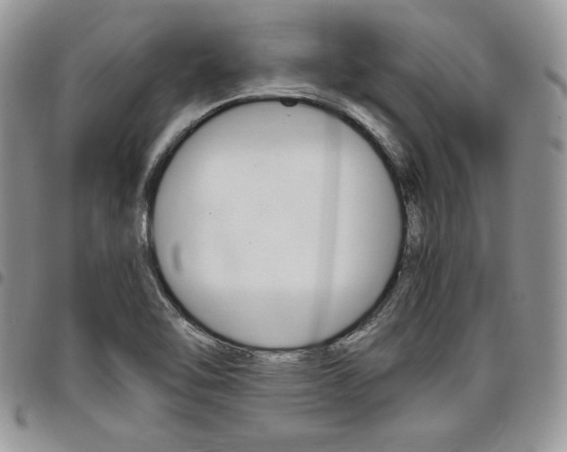 X0000096961462200802080848