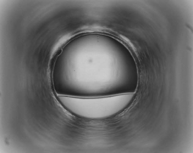 X0000096961464200802080848