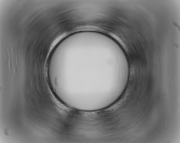X0000096961466200802080848