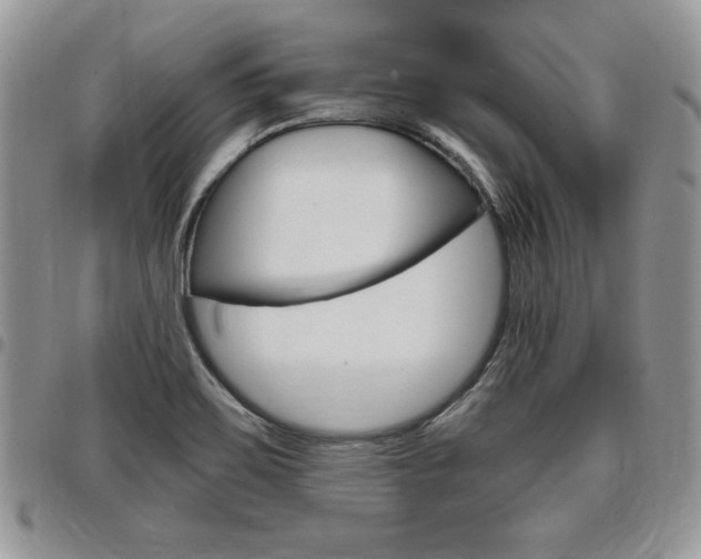 X0000096961467200802080848