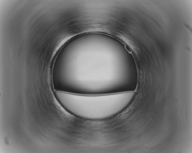X0000096961468200802080848