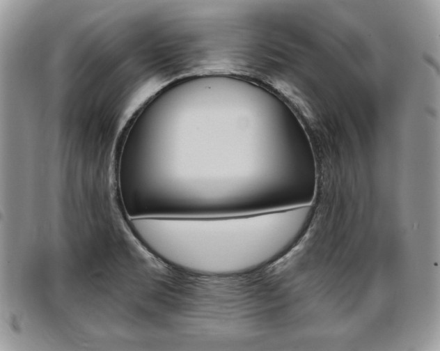 X0000096961469200802080848