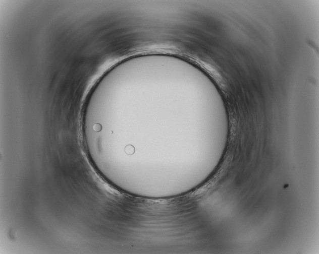 X0000096961470200802080848