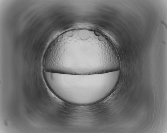 X0000096961471200802080848