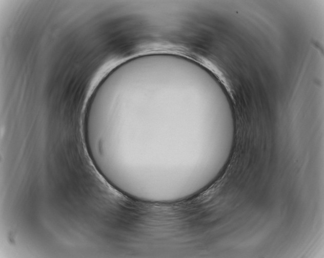 X0000096961472200802080848