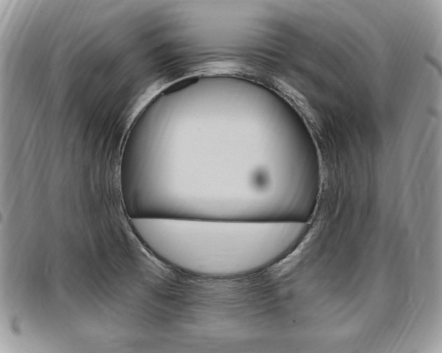 X0000096961473200802080848