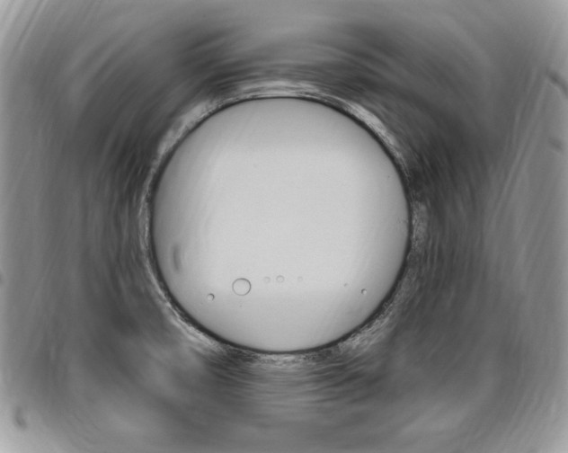 X0000096961474200802080848