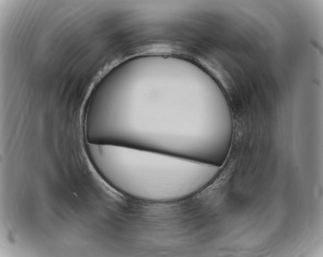 X0000096961475200802080848