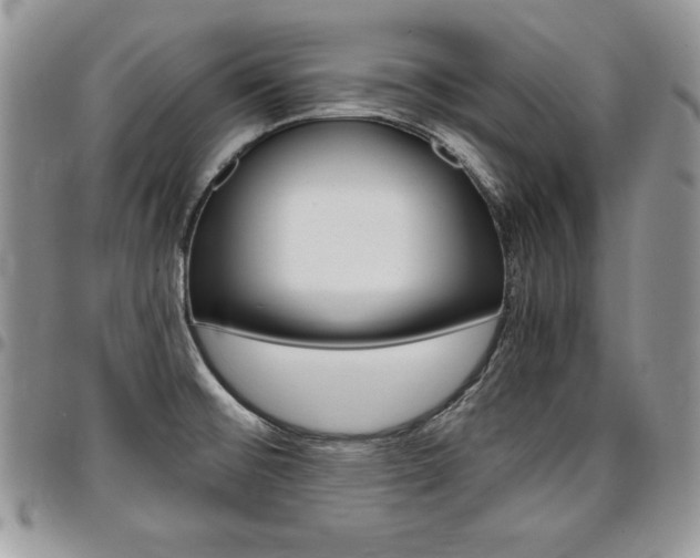 X0000096961476200802080848