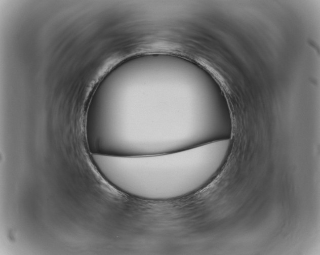 X0000096961477200802080848