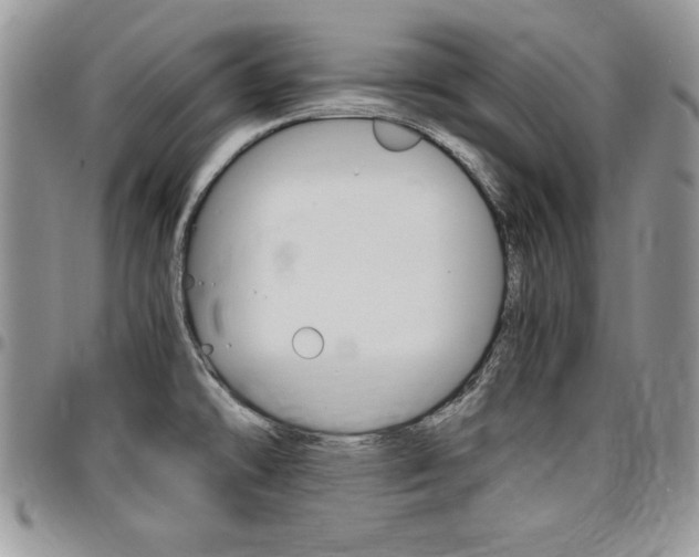 X0000096961478200802080848