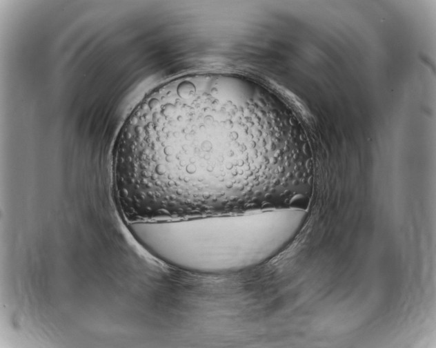 X0000096961479200802080848