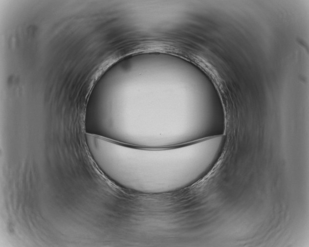 X0000096961481200802080848