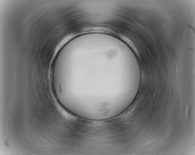 X0000096961482200802080848