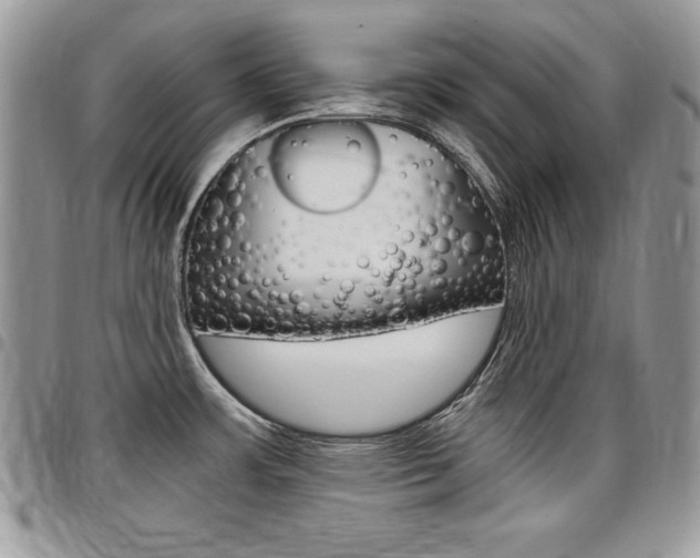 X0000096961483200802080848