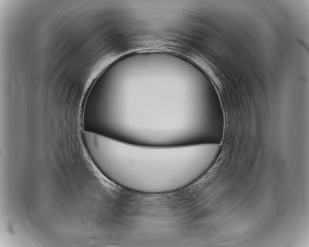X0000096961485200802080848