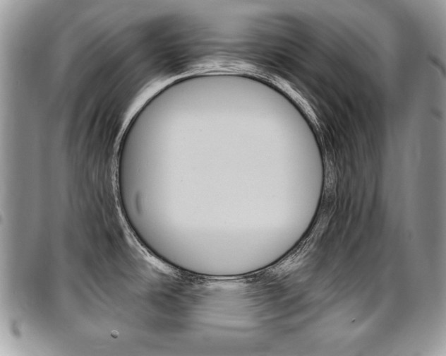X0000096961486200802080848