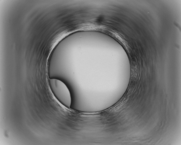X0000096961487200802080848