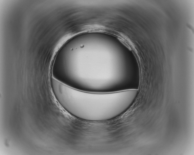 X0000096961488200802080848