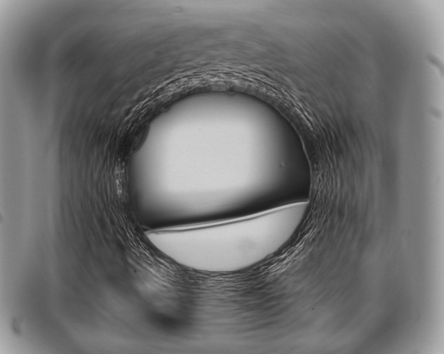 X0000096961490200802080847