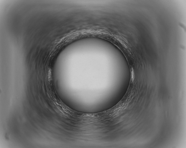X0000096961492200802080847