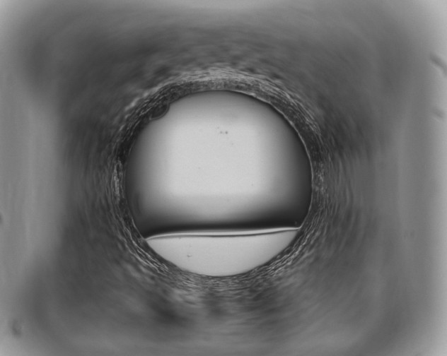 X0000096961493200802080847