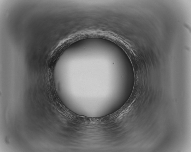 X0000096961494200802080847