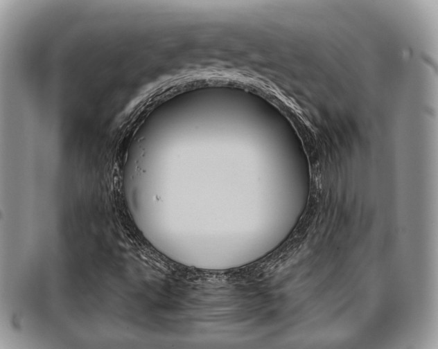 X0000096961495200802080847
