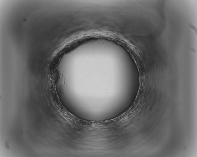 X0000096961496200802080847