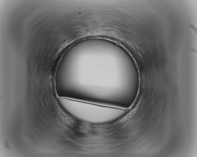 X0000096961497200802080847