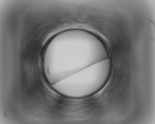 X0000096961498200802080847