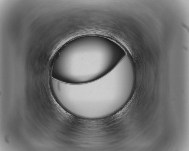 X0000096961500200802080847