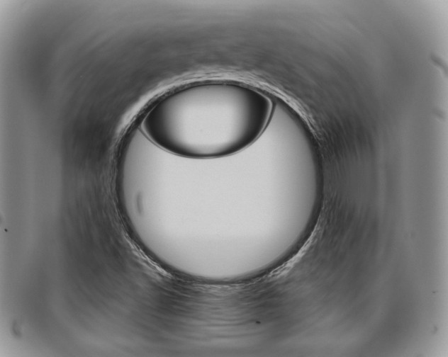 X0000096961502200802080847