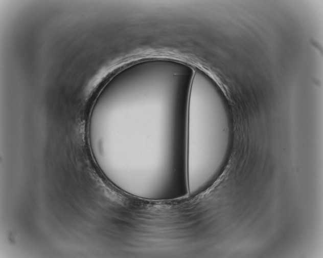 X0000096961503200802080847