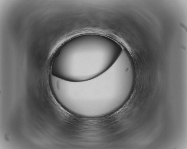 X0000096961504200802080847