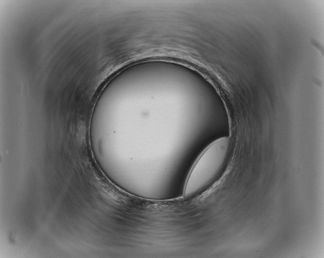 X0000096961505200802080847