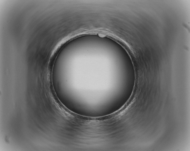 X0000096961506200802080847
