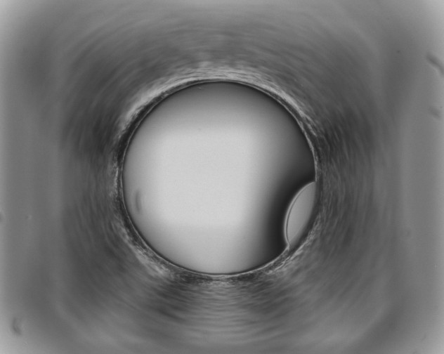 X0000096961507200802080847