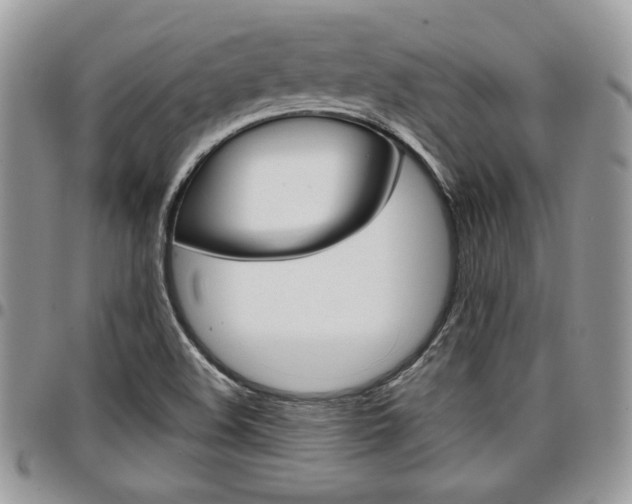 X0000096961508200802080847
