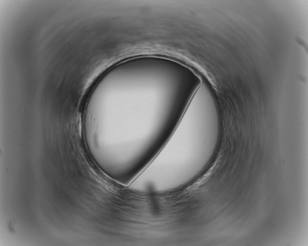 X0000096961509200802080847