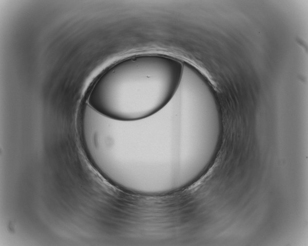 X0000096961510200802080847
